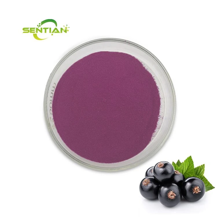 Serbuk Blackcurrant