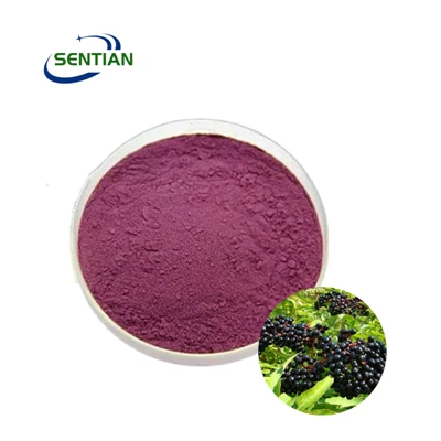 Ekstrak Elderberry